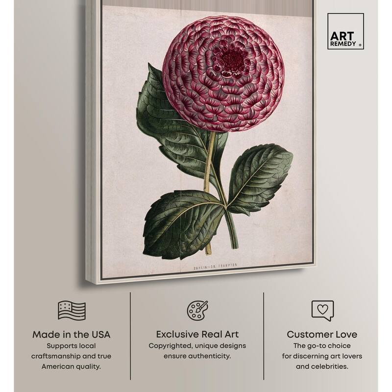 A dahlia Canvas by Art Remedy