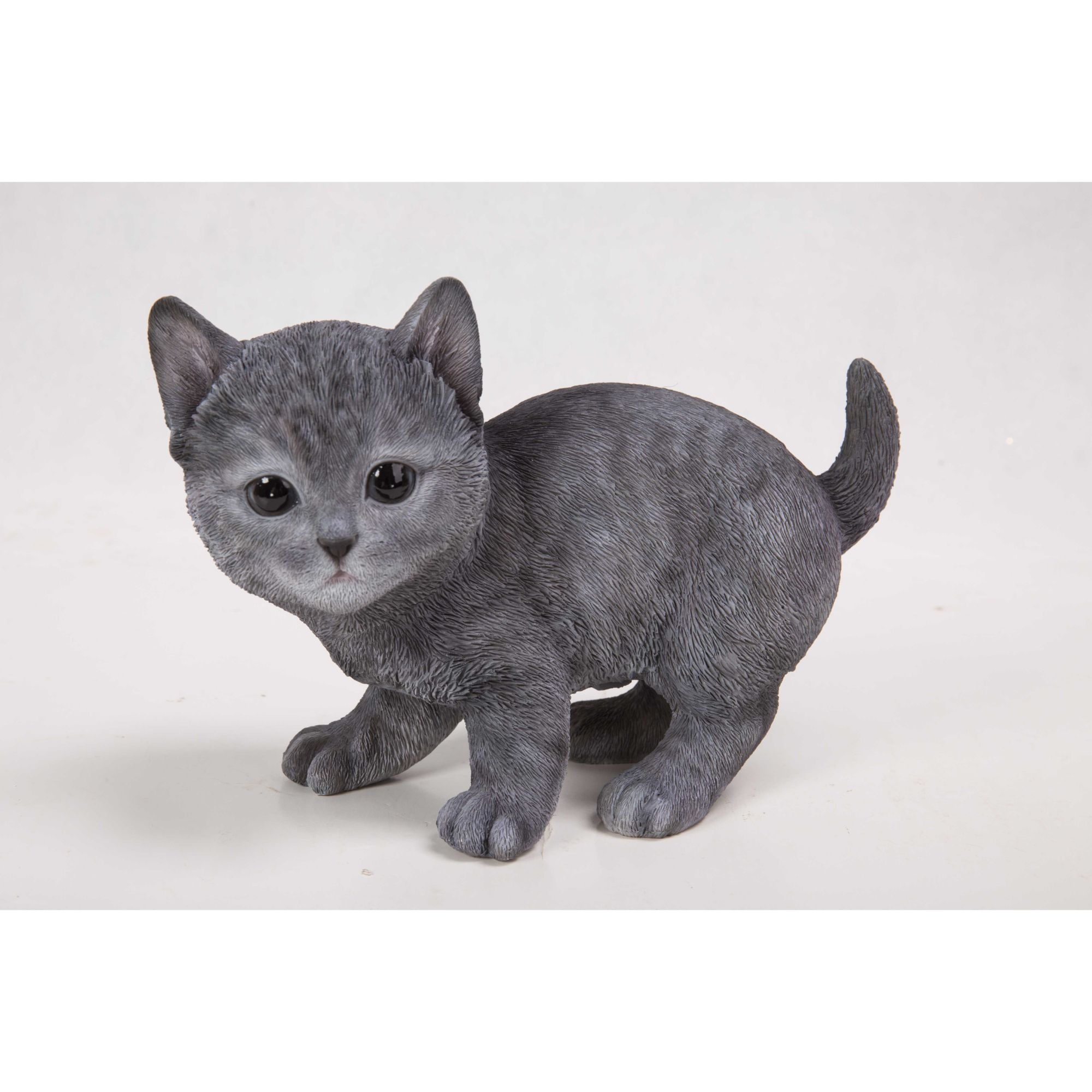 Russian black kitten sales