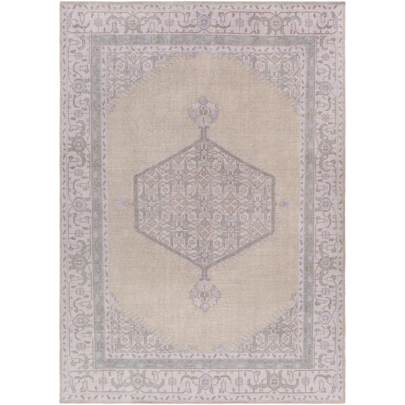 Hand-knotted Alford Boho Medallion Wool Area Rug