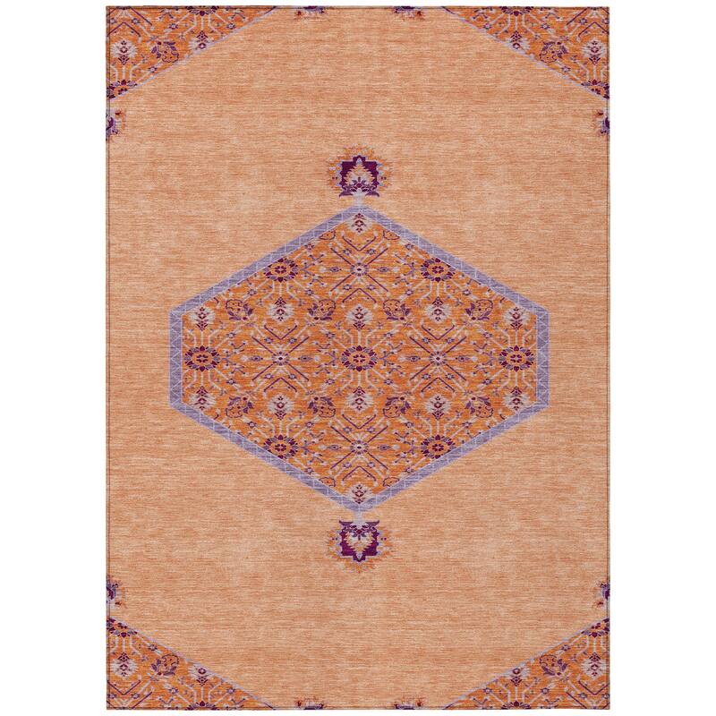 Machine Washable Indoor/ Outdoor Traditional Chantille Rug