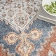 preview thumbnail 13 of 11, Nourison Astra Machine Washable Distressed Area Rug