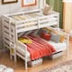 Option White
