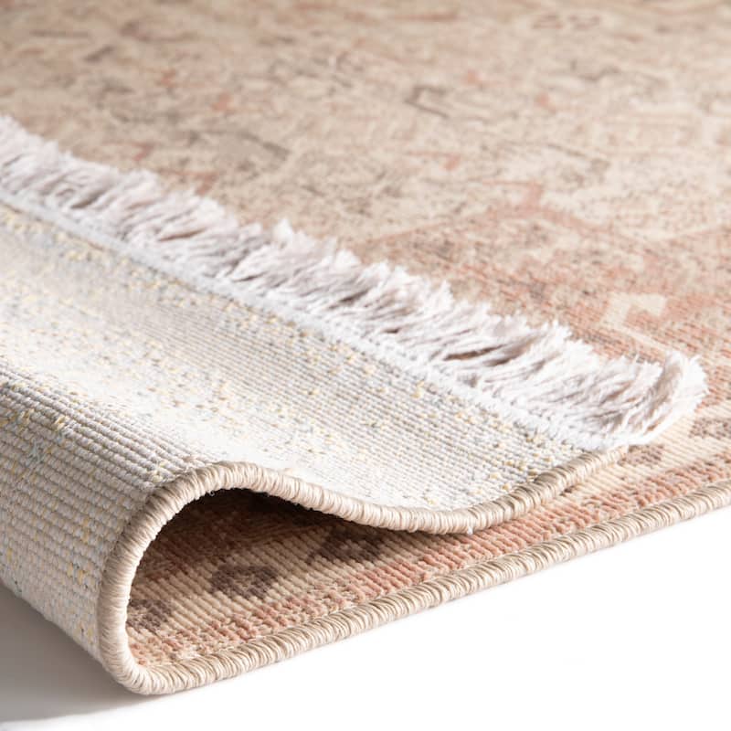 Rosemarie Traditional Recycled Area Rug