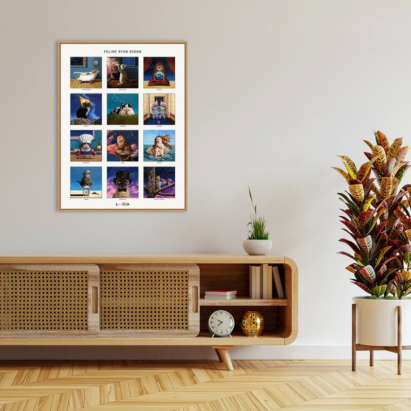Feline Star Signs by Lucia Heffernan Framed Canvas Wall Art Print