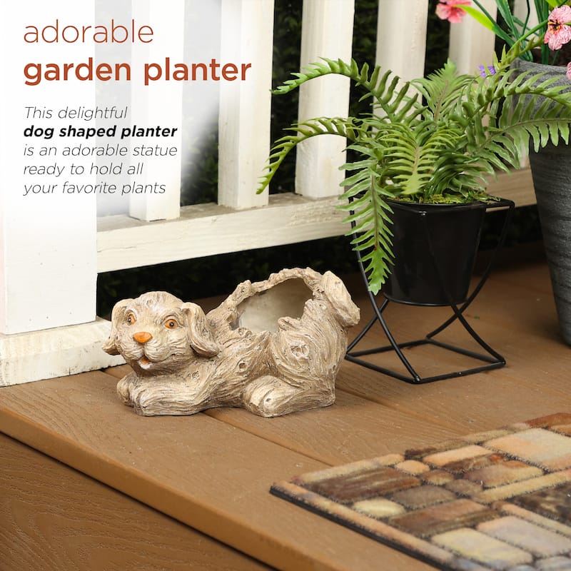 Dog Planter w/o Plants with Drainage Hole