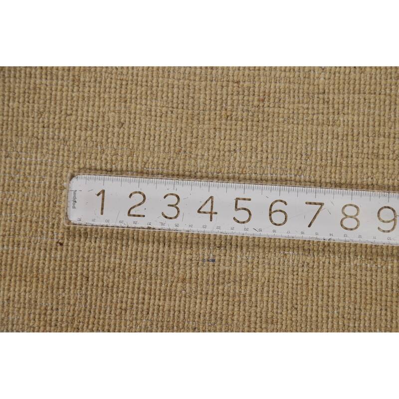 Contemporary Gabbeh Oriental Area Rug Hand-Knotted Solid Wool Carpet - 4'3" x 6'7"