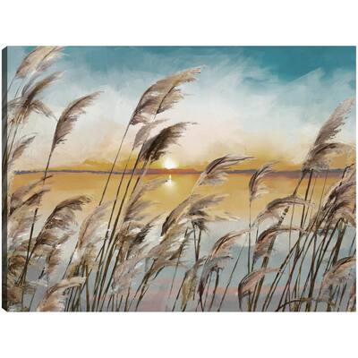 Morning Reeds Light By Studio Arts Canvas Art Print