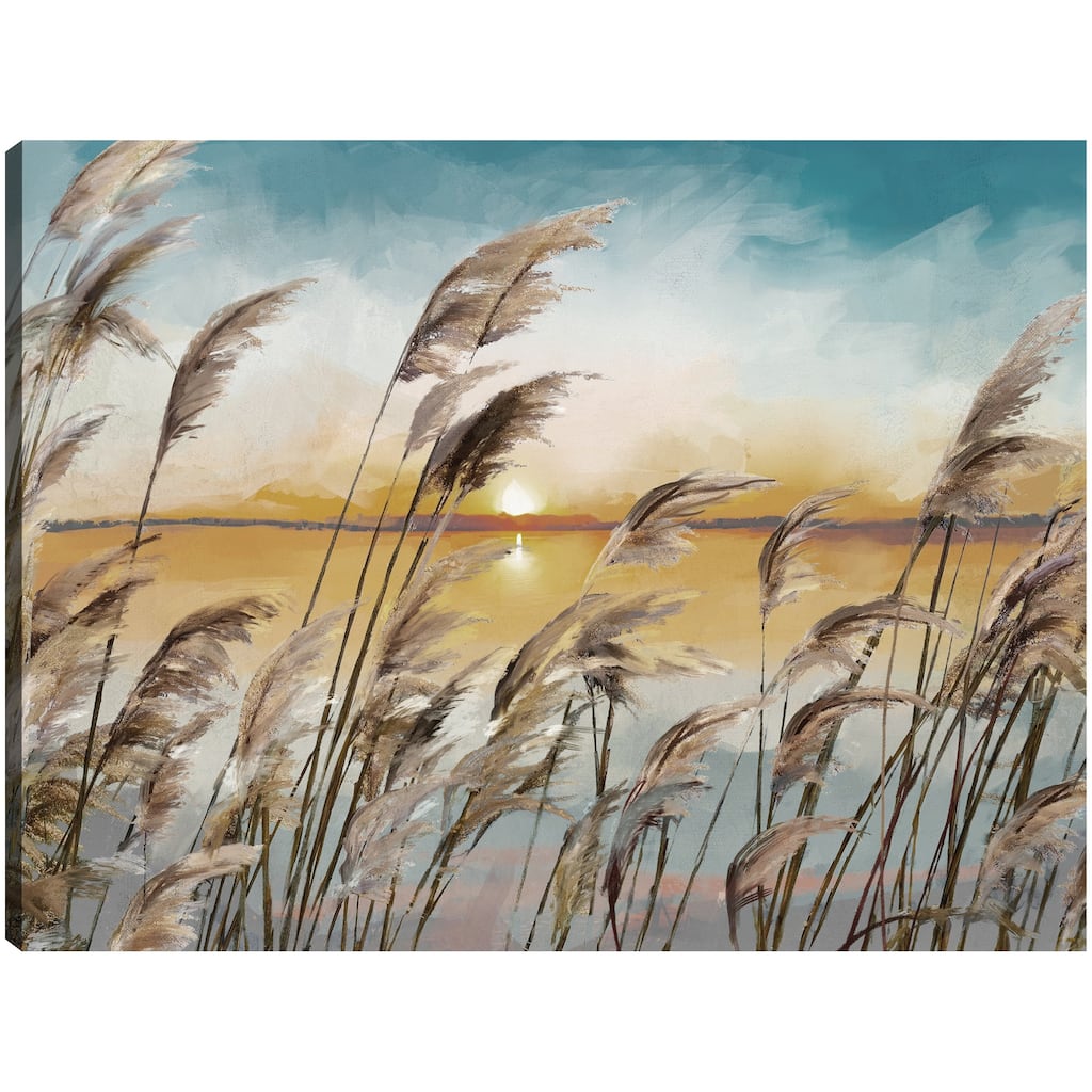 Morning Reeds Light By Studio Arts Canvas Art Print