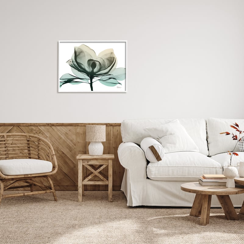 Stupell Green X-Ray Flower Framed Giclee Art Design by Albert Koetsier