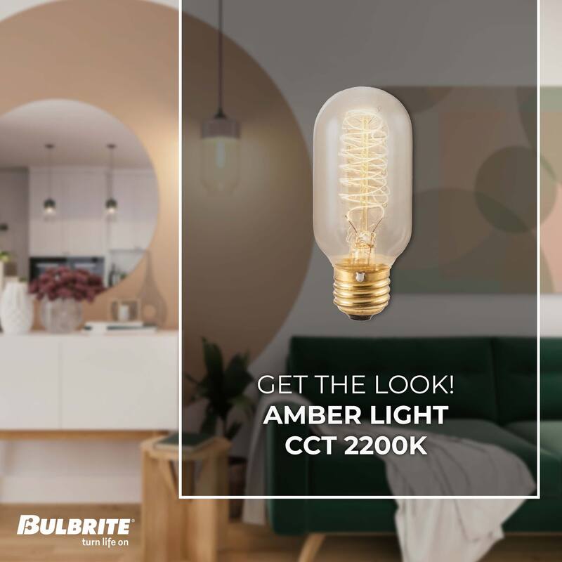 Bulbrite Pack of (4) Dimmable Antique Nostalgic Filament Incandescent Bulb