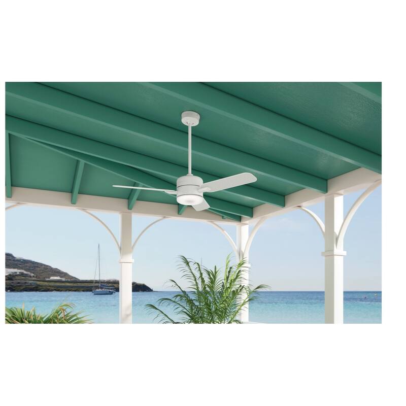 Casablanca 54" Paume Outdoor Ceiling Fan with LED Light Kit and Wall Control - Coastal - DAMP RATED!