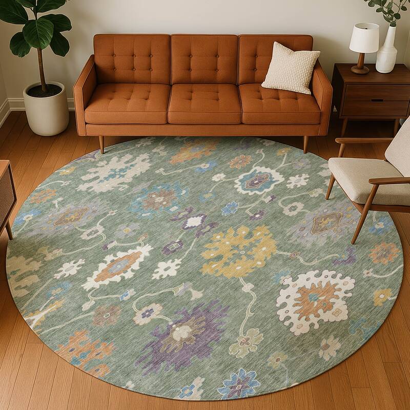 Machine Washable Indoor/ Outdoor Traditonal Delhi Chantille Rug