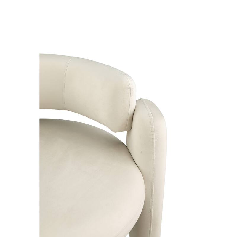 Modern Accent Chair With Solid Wood Frame, For Living Room, Bedroom, Lounge Area, Office