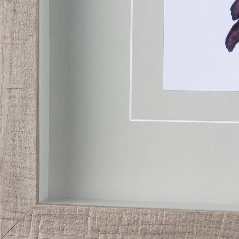 Robin II Framed Art Print