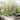 70.5x19.7inch Animal Barrier Fence Decorative Garden Fencing
