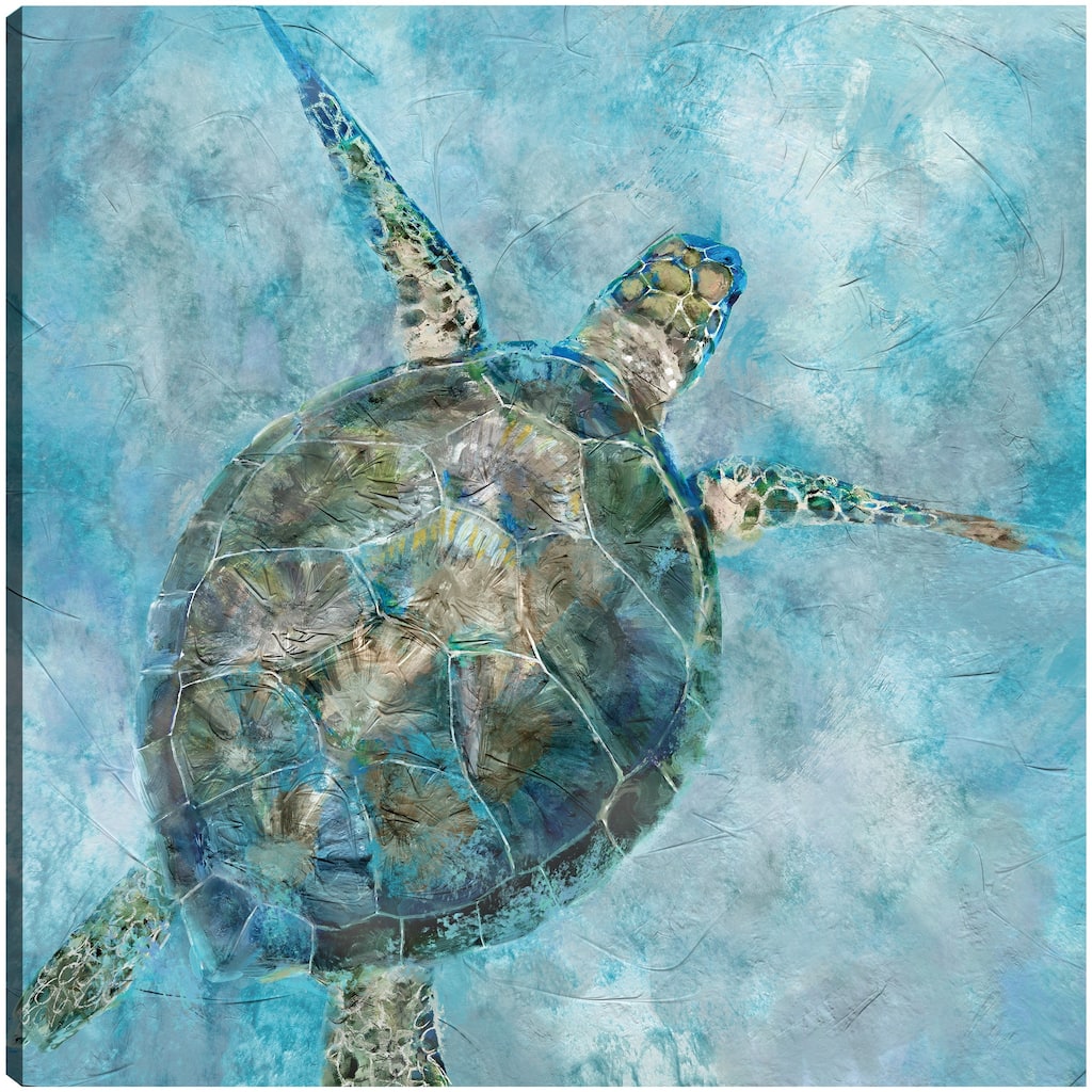 Sea Turtle Blues By Studio Arts Canvas Art Print