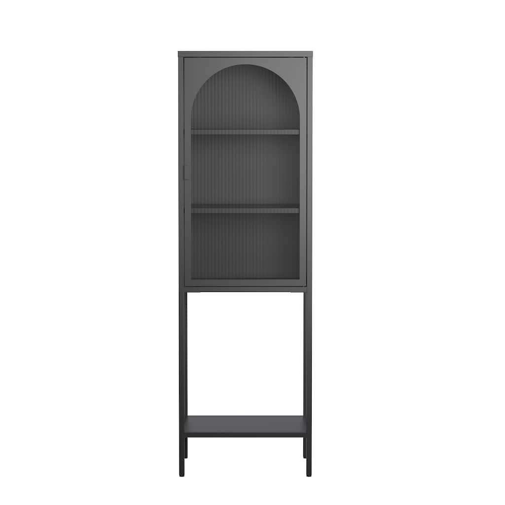 Benoît 62.99 inch Black One Door Metal Storage Cabinet with Fluted Clear Door