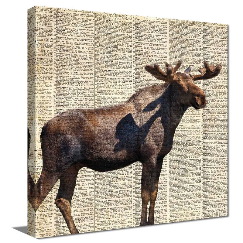 "Country Moose II" Print on Canvas