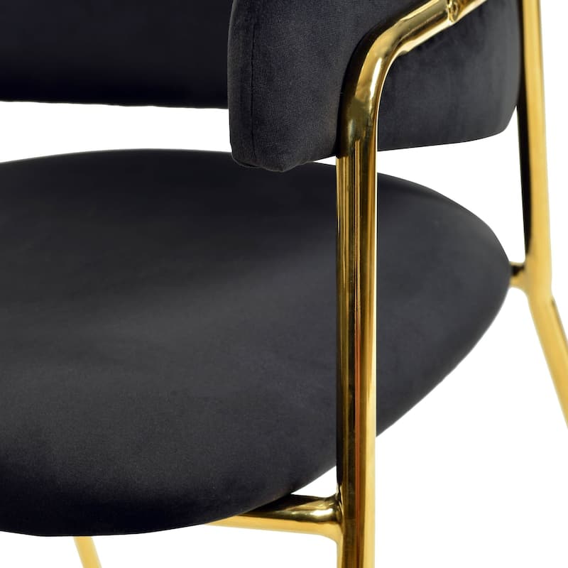 Axis Set of 2 Modern Glam Dining Chairs – Luxe Velvet or Leather Side Chairs with Gold Stainless Steel Legs Accent Seating