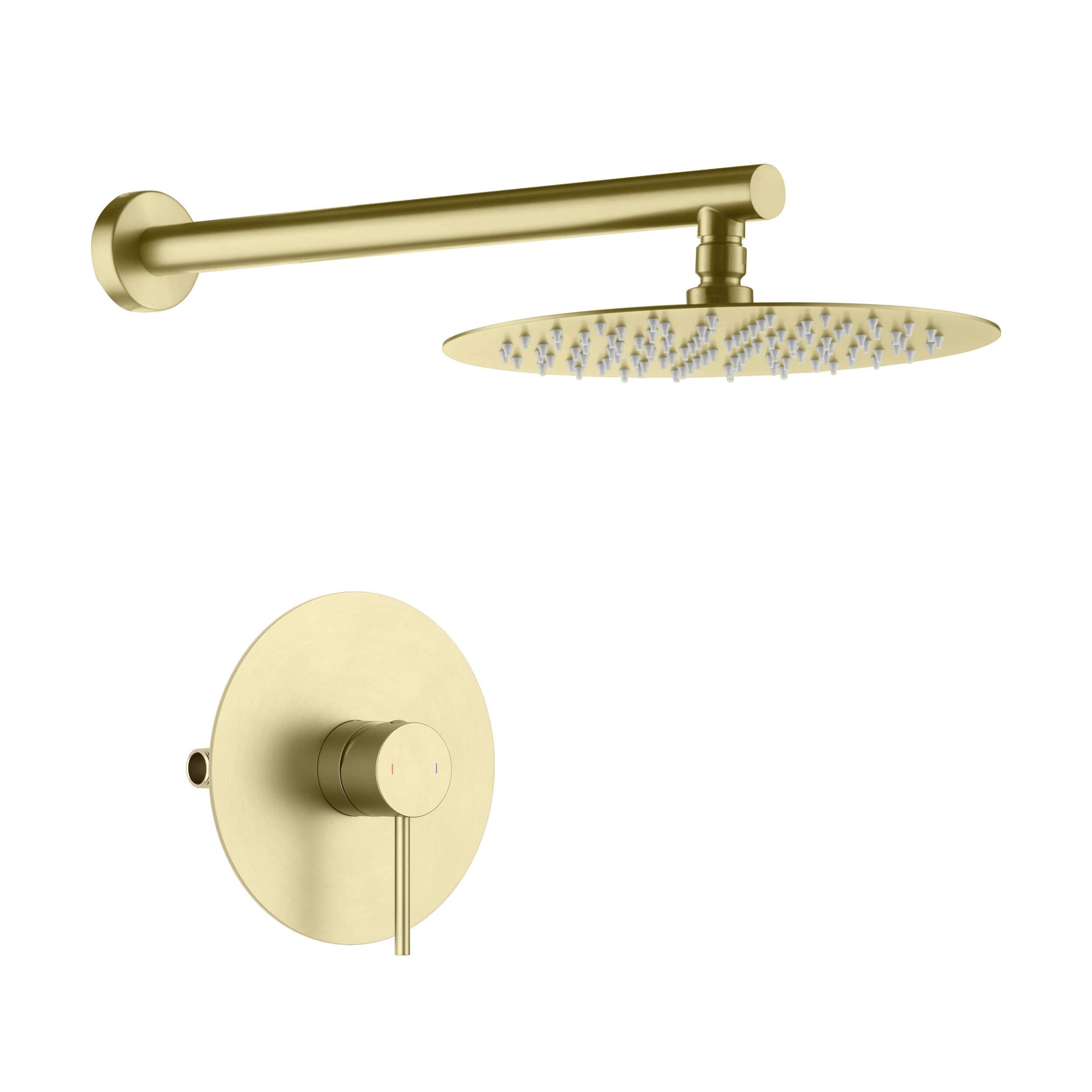 Circular Pressure Balanced Single Function Shower System with Rough In Valve