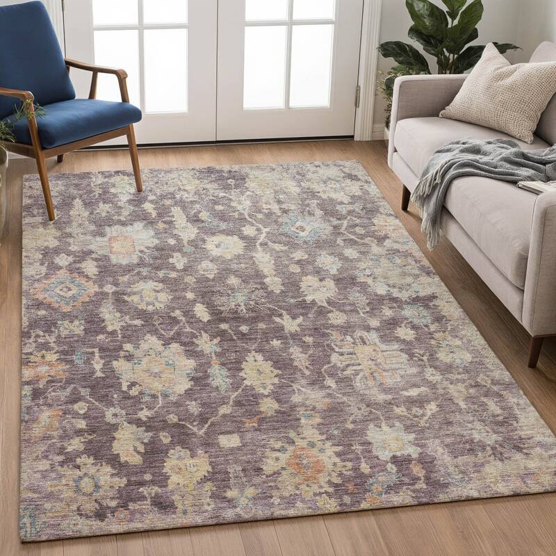 Machine Washable Indoor/ Outdoor Casual Traditional Chantille Rug
