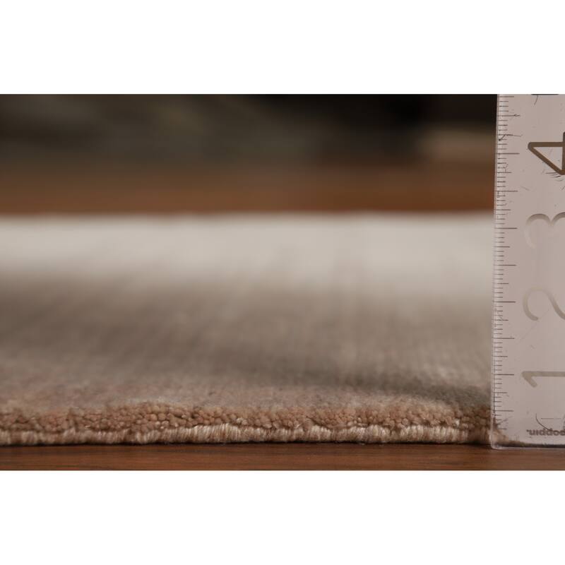 Tribal Gabbeh Indian Foyer Rug Handmade Beige Silk Carpet - 3'1"x 4'11"