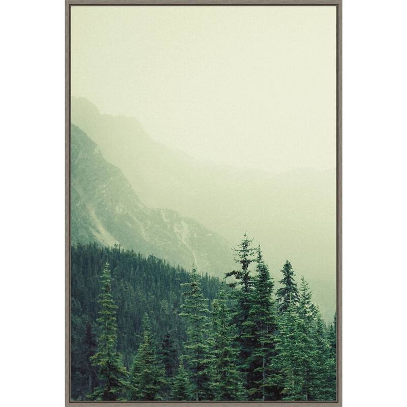 Rocky Mountain Trees 7 by Lynann Colligan Framed Canvas Wall Art Print - Sylvie Greywash
