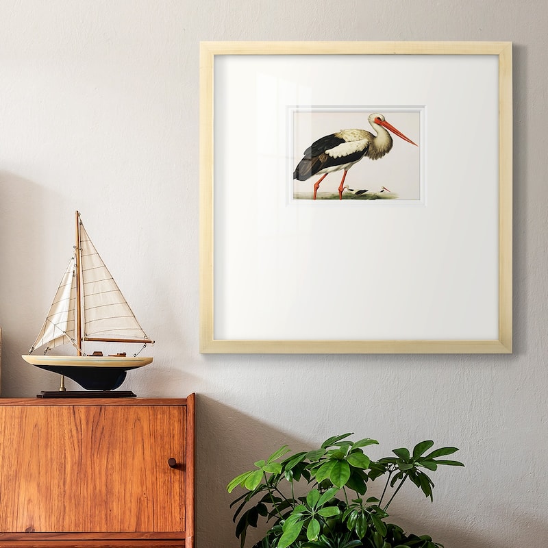 Odd CranePremium Framed Print