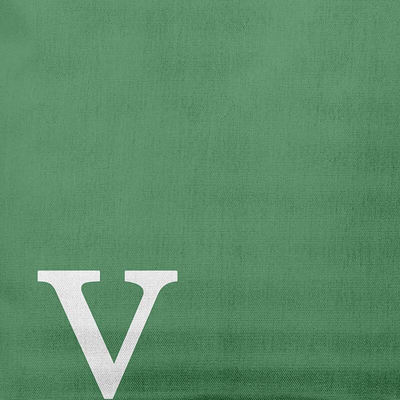 Modern Monogram Indoor/Outdoor Throw Pillow-V