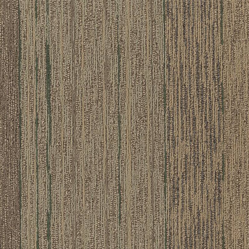 Shaw Philadelphia Commercial Unscripted 24" x 24" Glue Down Carpet - Reality TV