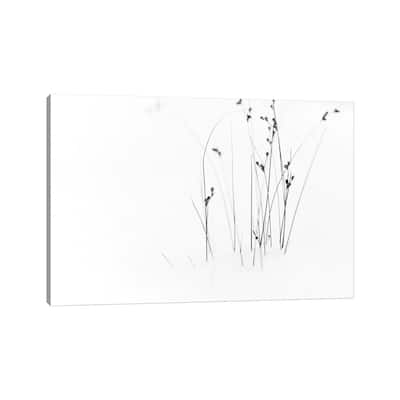 iCanvas "Black On White" by Dusan Ljubicic Canvas Print