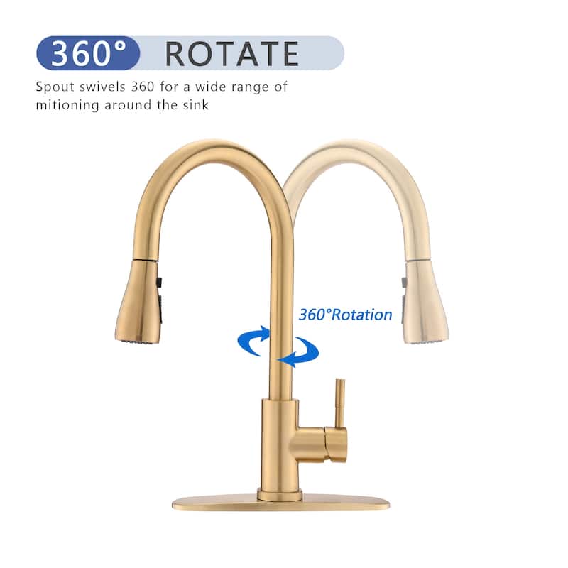 DORNBERG SUS 304 Stainless Steel Kitchen Faucet with Pull Down Sprayer