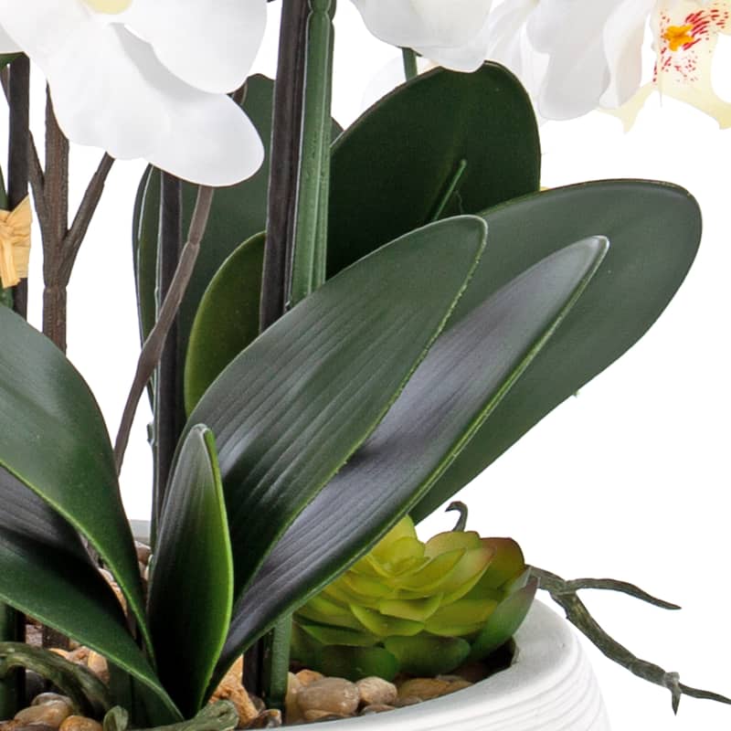 9 Stems Nearly Natural White Phalaenopsis Orchids with Succulents in White Magnesium Oxide Pot - 36.22" H x 35.43" W x 35.43" D