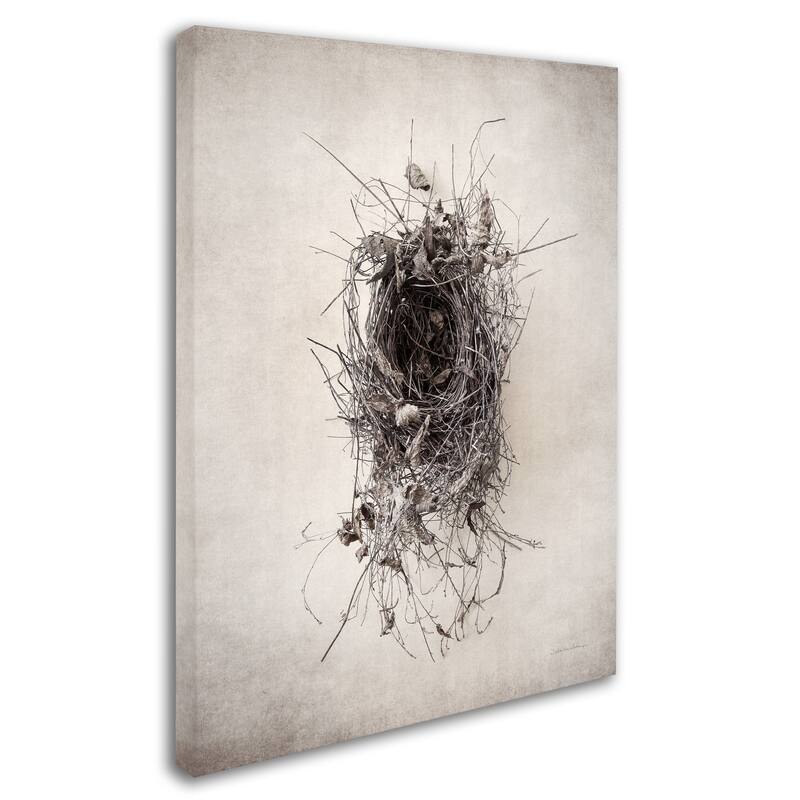 Debra Van Swearingen 'Nest II' Canvas Art