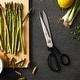 preview thumbnail 4 of 7, ZWILLING Superfection Classic Bent Shears