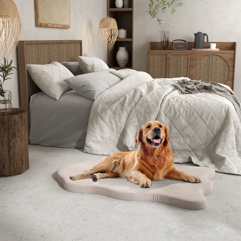 Orthopedic Dog Bed with Memory Foam Support for Large Dogs - 43"x 26" x 2"(L x W x H)