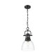 preview thumbnail 2 of 0, Golden Lighting 3602-S BLK Duncan 9" Wide Mini Pendant