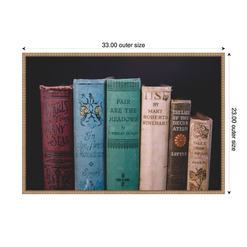 Kate and Laurel Sylvie Vintage Classic Books Framed Canvas by Patricia Hasz of Patricia Rae Photography