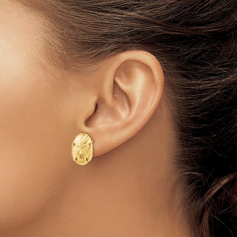 Curata 14k Yellow Gold 16mm Textured Polished Large Sanddollar Post Earrings
