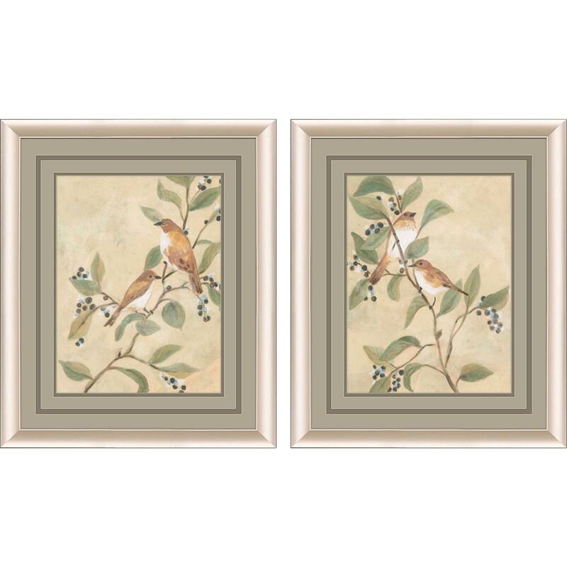 Songbird Fresco S/2 Framed Art Under Glass - 23 X 19 X 2