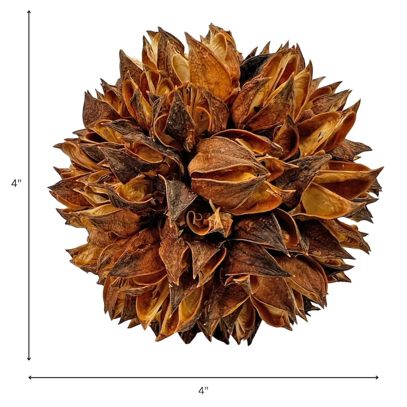 Handmade Natural & Preserved Topiary Balls Decorative Bowl Filler Orbs In Brown Botanical Accent Set Of 6 - 4x4x4 inch