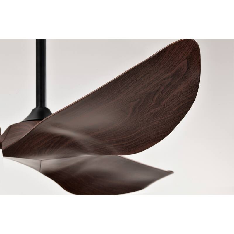 Duncan Modern 3 Bladed Ceiling Fan with Remote
