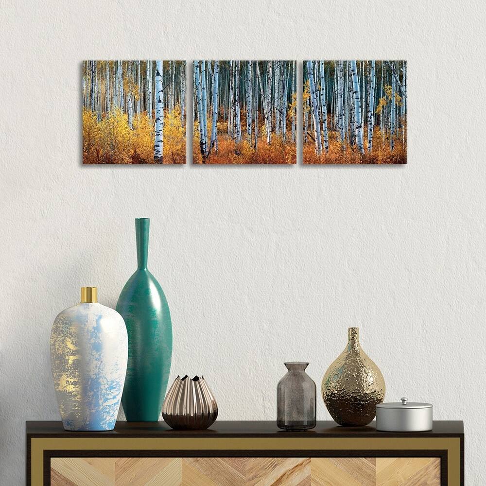 iCanvas "Colorado Autumn Wonder Panorama" by OLena Art 3-Piece Canvas Wall Art Set