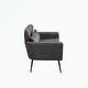 preview thumbnail 31 of 48, Loveseat With 2 Throw Pillows,Black Metal Legs