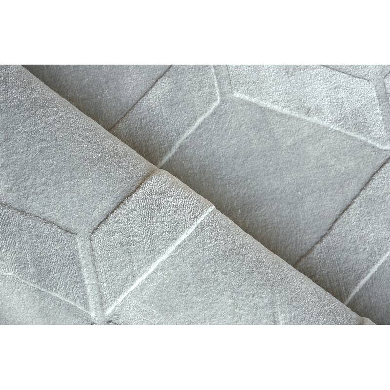 Exquisite Rugs Brunello Modern Handmade Handloomed Silky Nylon Light Silver Area Rug