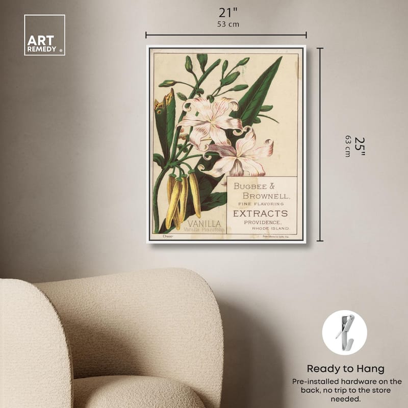 Vanilla Planifolia Canvas by Art Remedy