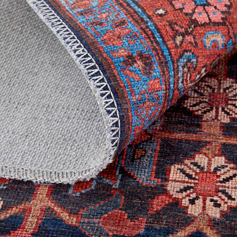 Birchlawn R39HI Oriental Transitional Area Rug