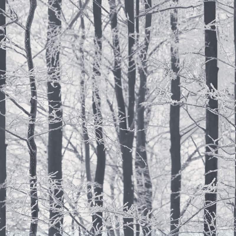 Arthouse Frosted Silver Winter Grove Wallpaper