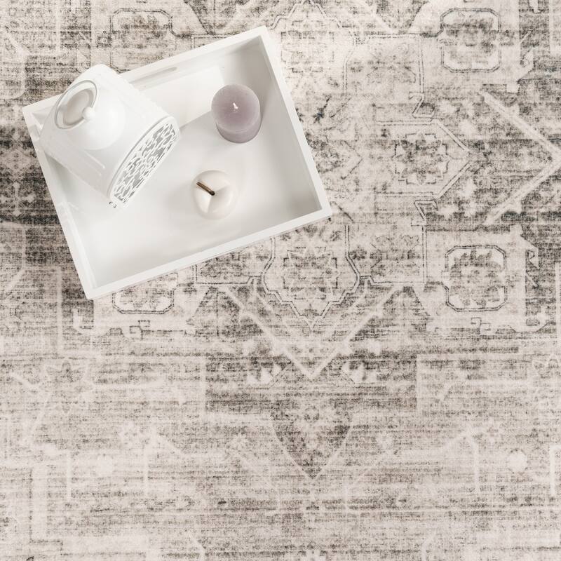 Modern Area Rug Bordered Classic Design in Vintage Look