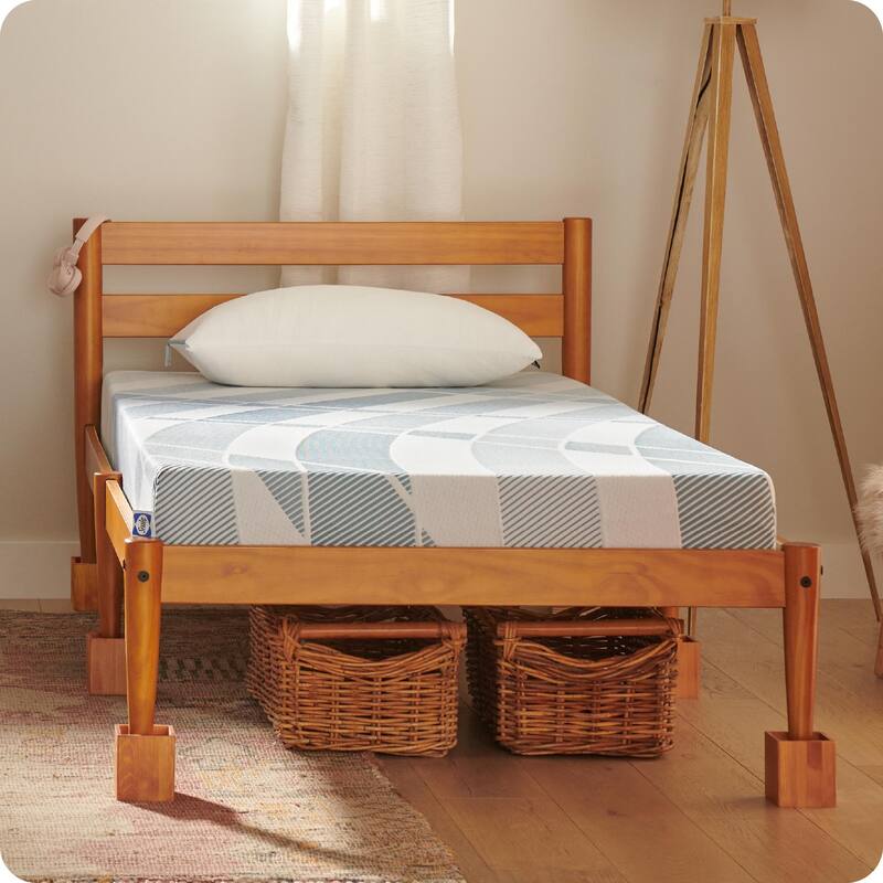 Sealy Dreamlife 6" Foam Mattress-in-a-Box